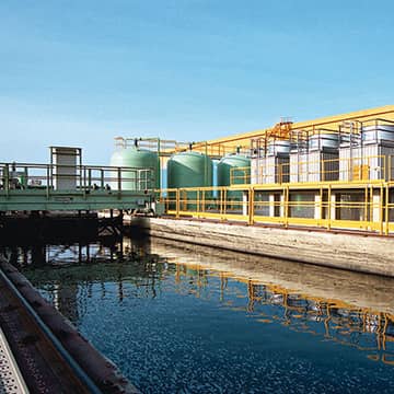 SCORECARD_Environmental plants