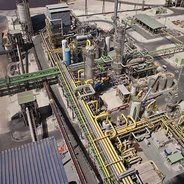 SCORECARD_Environmental plants